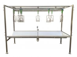 Large Evisceration Station with Overhead Conveyor Hand Line image