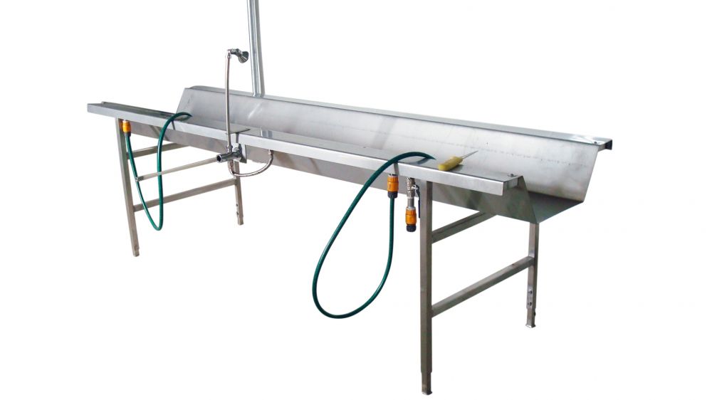 Manual Poultry Evisceration Trough