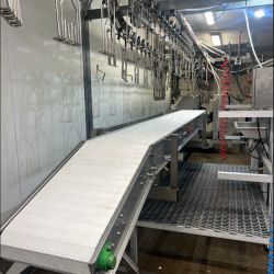 Evisceration Belt Conveyor image