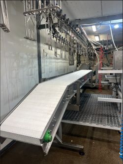 Evisceration Belt Conveyor image